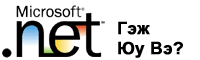 MS DOT NET